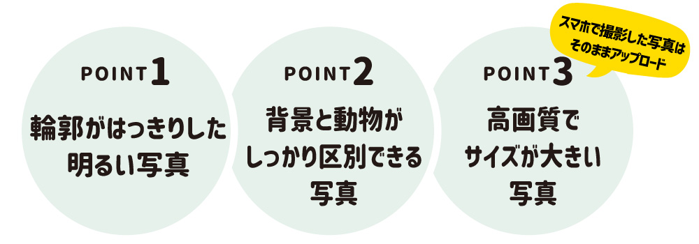 フリーカット 動物説明