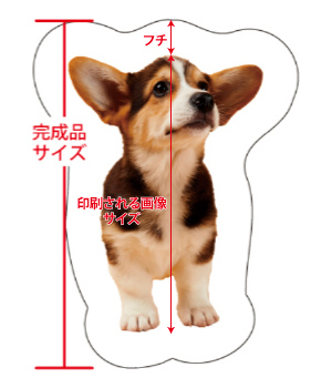フチについて