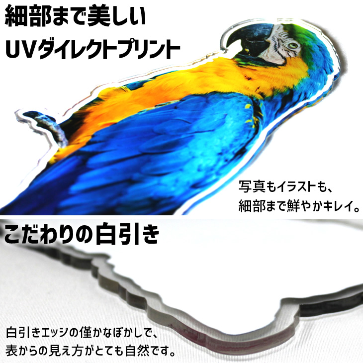アクスタ 大きい