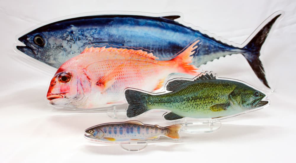 釣り 魚拓 アクスタ