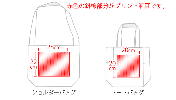 サイズ