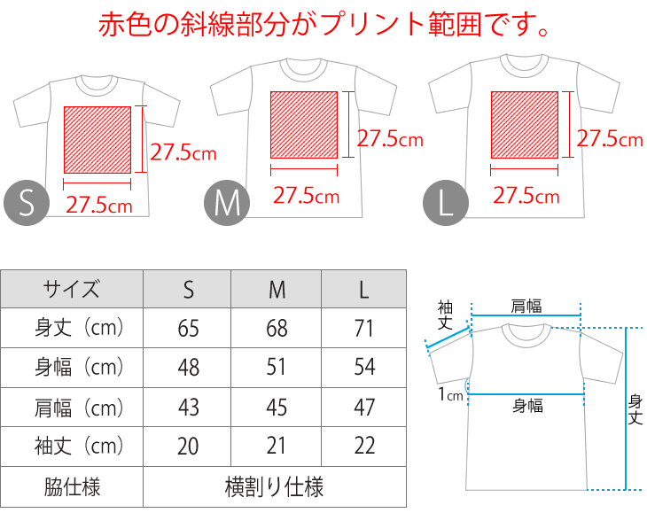 サイズ