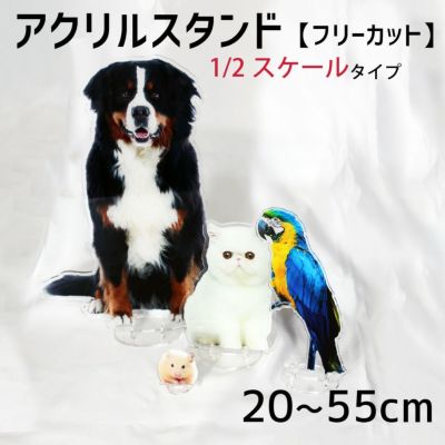 フリーカット｜アクキー アクスタ | 応援うちわ専門店 本店